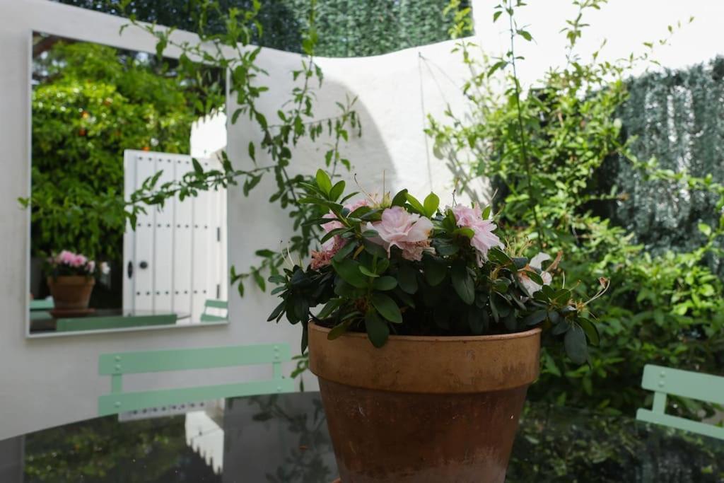 Casa Bela, En Marbella Muy Cerca De La Playa Villa Eksteriør bilde